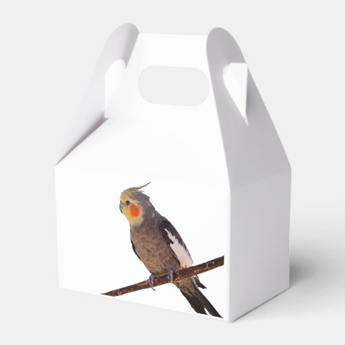 Cockatiel Gray and Yellow Pet Bird Photograph Favor Boxes