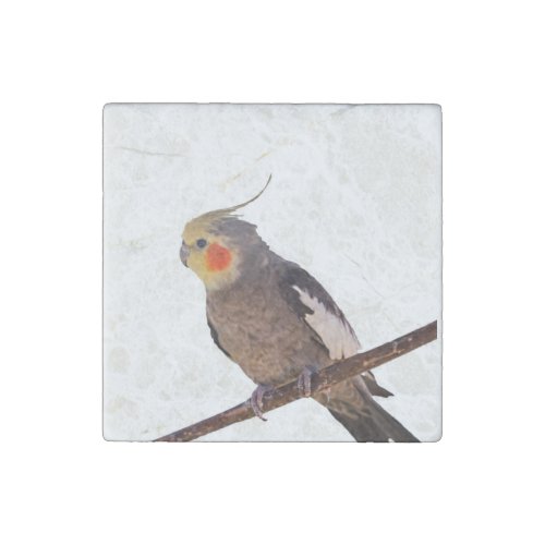 Cockatiel Gray and Yellow Pet Bird Photograph Stone Magnet