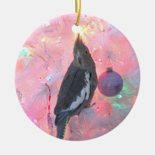 Cockatiel in the Christmas Tree Ornament