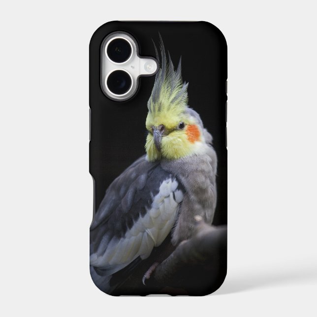 Cockatiel iPhone 5 Case-Mate Case (Back)