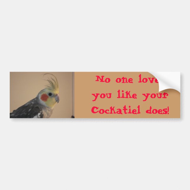 Cockatiel Love Bumper Sticker (Front)