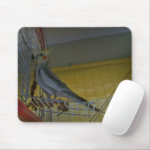 Cockatiel Mouse Pad