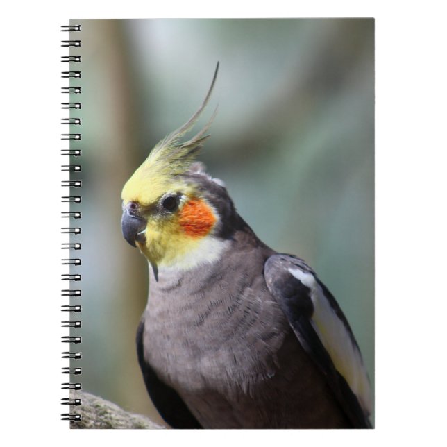 Cockatiel Notebook (Front)