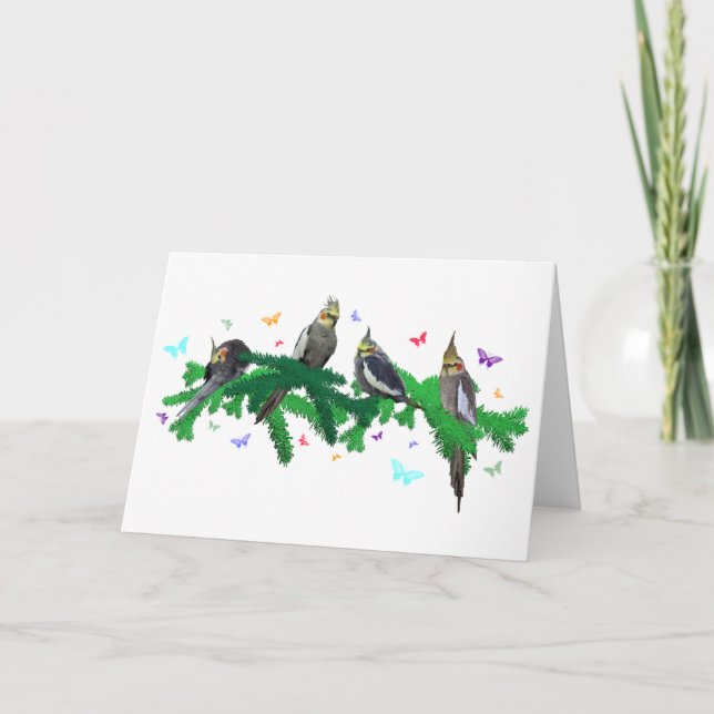 Cockatiel Party Card (Front)