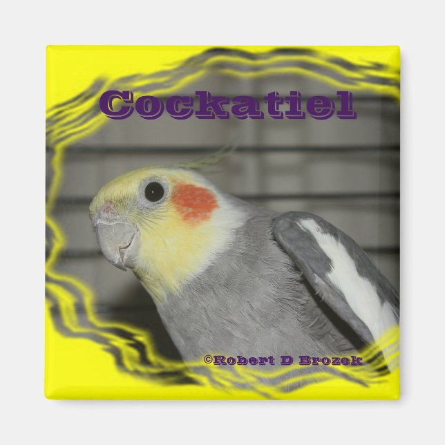 Cockatiel Pet Bird MAGNET (Front)