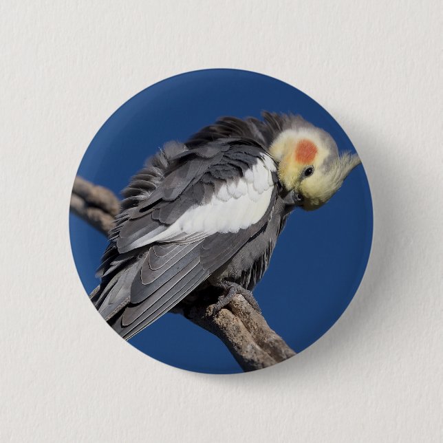 Cockatiel Pinback Button (Front)