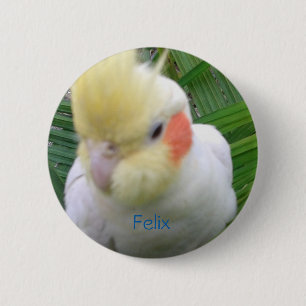 Cockatiel Pinback Button
