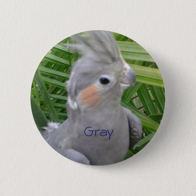 Cockatiel Pinback Button (Front)