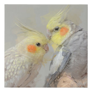 I had this 16x24 canvas made and I love it! (2nd pic is original) :  r/cockatiel