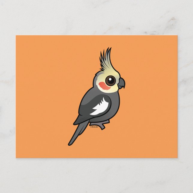 Cockatiel Postcard (Front)
