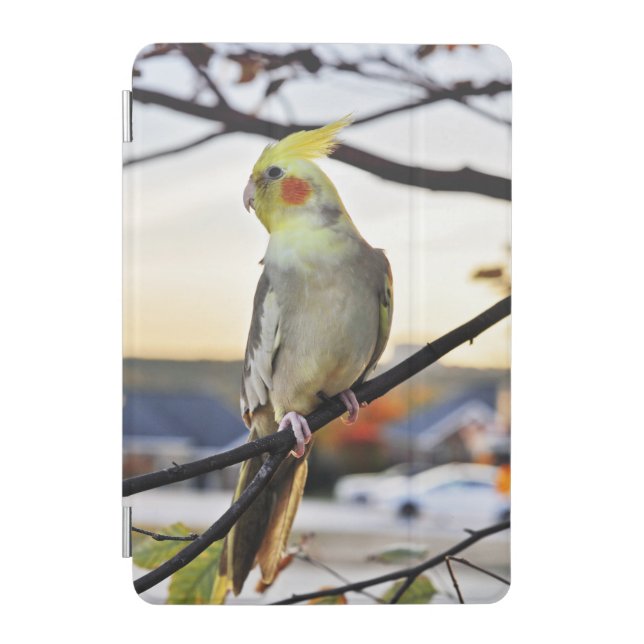 Cockatiel Profile Photograph iPad Mini Cover (Front)