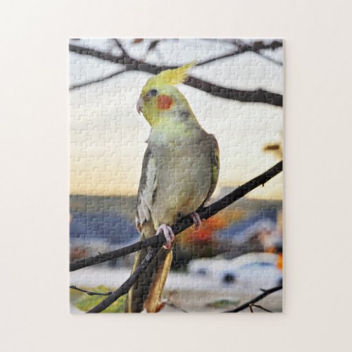 Cockatiel Profile Photograph Jigsaw Puzzle