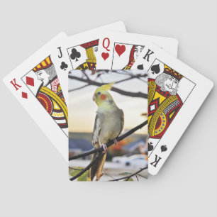 Cockatiel Profile Photograph Poker Cards
