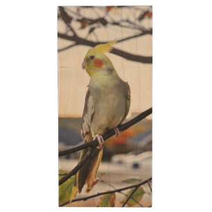 Cockatiel Profile Photograph Wood Flash Drive
