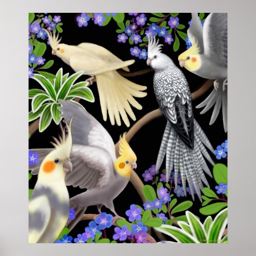Cockatiels and Forget Me Nots Poster