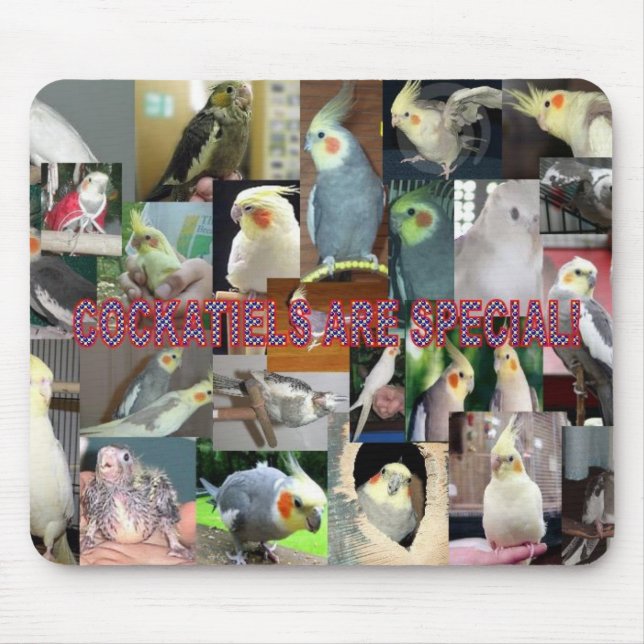 Cockatiels are special mouse pad (Front)