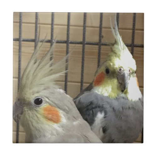 Cockatiels Ceramic Tile