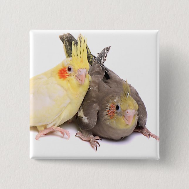 Cockatiels Pinback Button (Front)