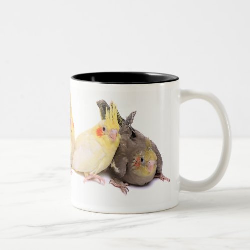 Cockatiels Two_Tone Coffee Mug