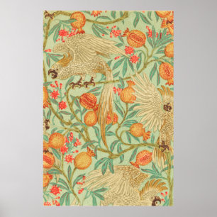 Cockatoo and Pomegranate Antique Print