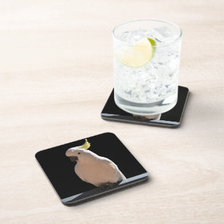 Cockatoo at Sundial Apartments Coasters