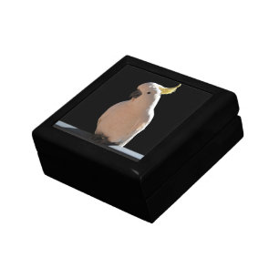 Cockatoo at Sundial Apartments Jewelry Box