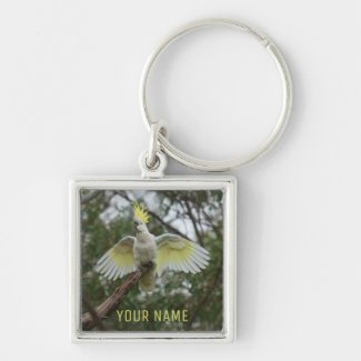 Cockatoo Australia Bird Parrot Spreading Wings