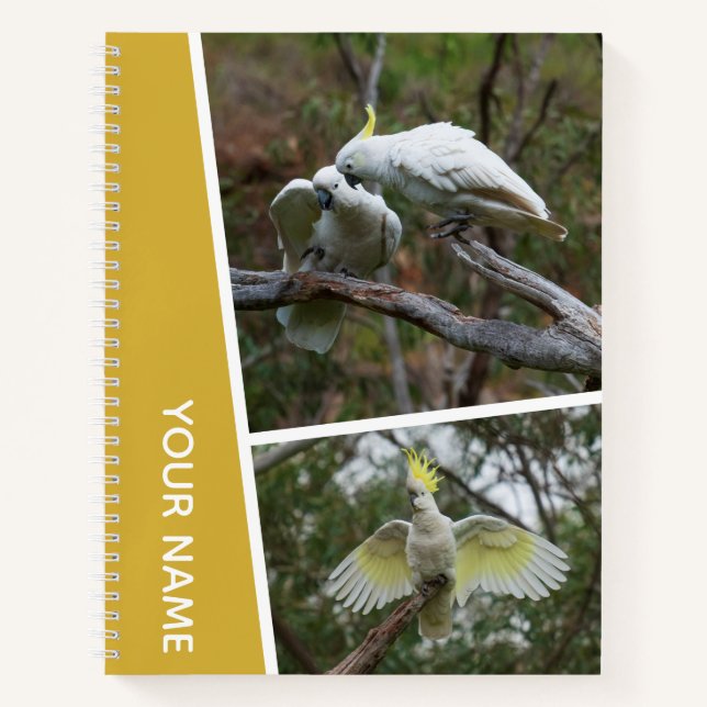 Cockatoo Australia Parrot Bird Photo Collage Gold Notebook (Front)