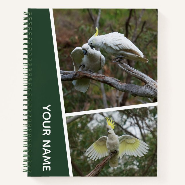 Cockatoo Australia Parrot Bird Photo Collage Green Notebook (Front)