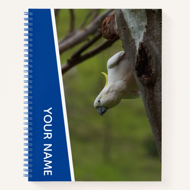 Cockatoo Australia Parrot Upside Down, Funny Blue Notebook (Front)