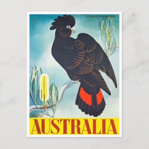 Cockatoo Australia vintage travel Postcard