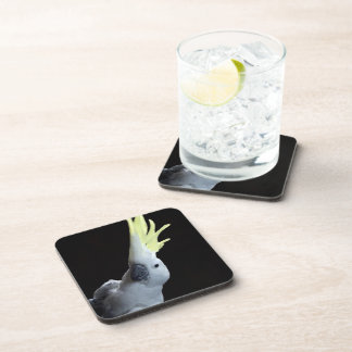 Cockatoo Beverage Coaster