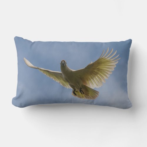 Cockatoo Bird Parrot Animal Fly Sky Australia Lumbar Pillow