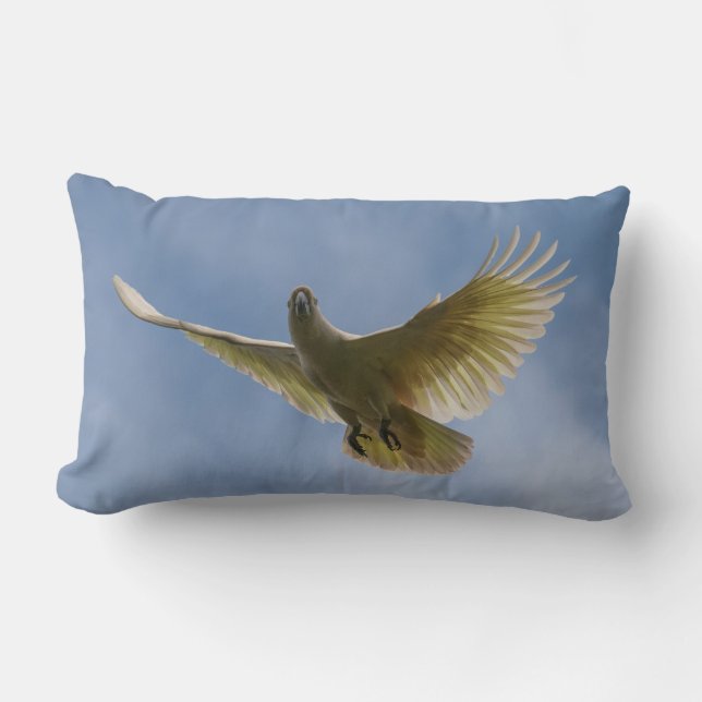 Cockatoo Bird Parrot Animal Fly Sky Australia Lumbar Pillow (Front)