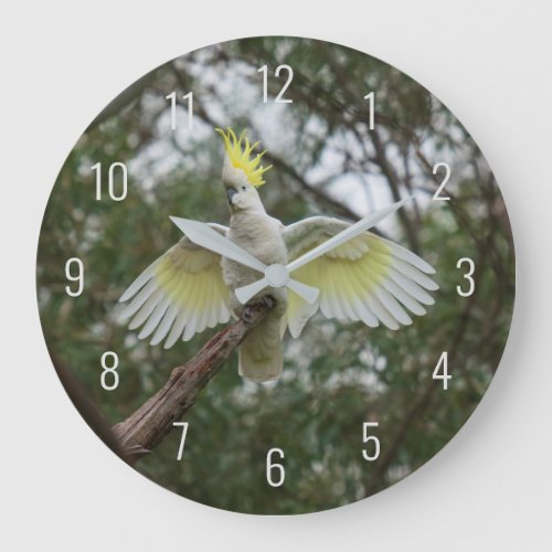 Cockatoo Bird Parrot Fly Wings Avian Australia Large Clock