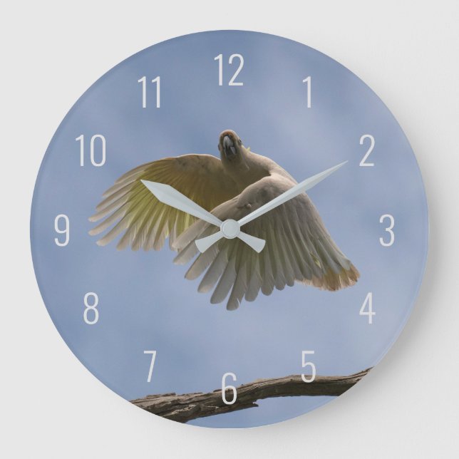 Cockatoo Bird Parrot Flying in the Sky Australia Large Clock (Front)