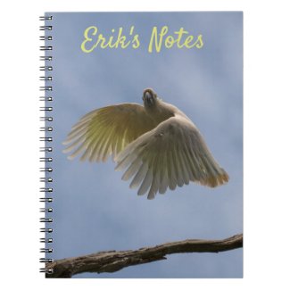Cockatoo Bird Parrot Flying in the Sky Notebook