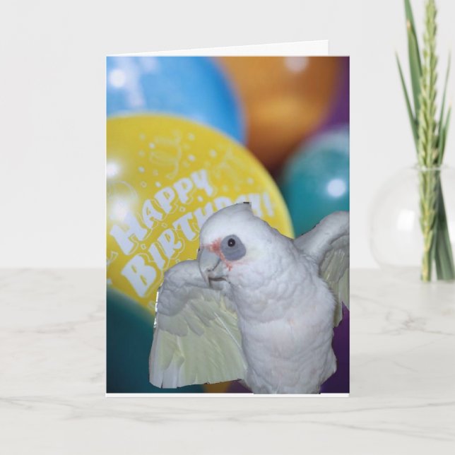 Cockatoo Birthday Card (Front)