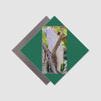 cockatoo car magnet