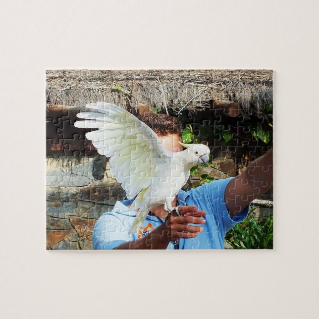 Cockatoo displaying a wing jigsaw puzzle (Horizontal)
