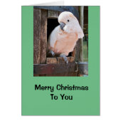Cockatoo Home Holiday Card, envelopes included (Front)