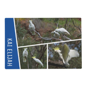 Cockatoo Parrot Bird Australia Photo Collage Blue Placemat