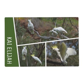 Cockatoo Parrot Bird Australia Photo Collage Green