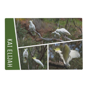 Cockatoo Parrot Bird Australia Photo Collage Green Placemat