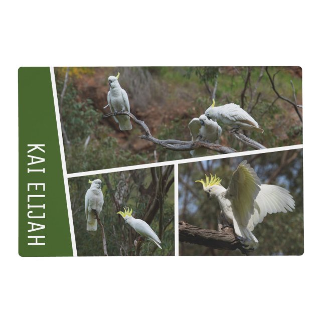 Cockatoo Parrot Bird Australia Photo Collage Green Placemat (Front)
