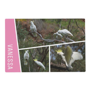 Cockatoo Parrot Bird Australia Photo Collage Pink Placemat