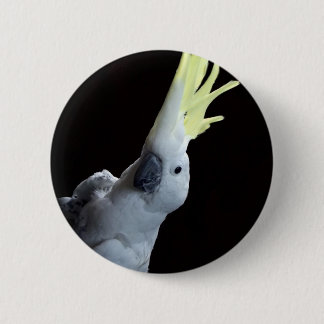 Cockatoo Parrot Button