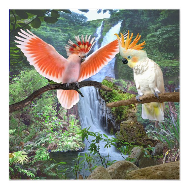 COCKATOO PARROTS IN  PARADISE PHOTO PRINT (Front)