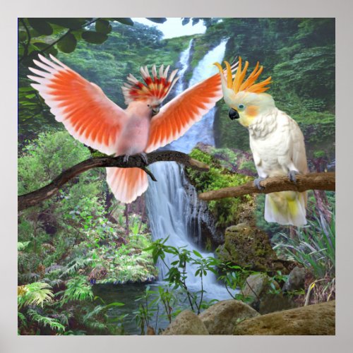 COCKATOO PARROTS IN  PARADISE POSTER