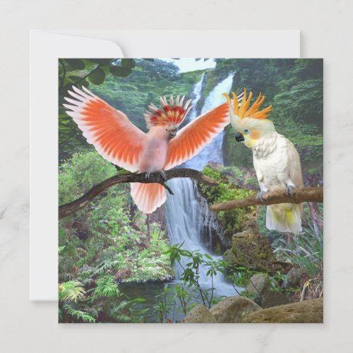COCKATOO PARROTS IN  PARADISE THANK YOU CARD